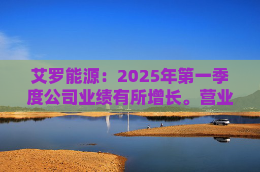 艾罗能源:2025年第一季度公司业绩有所增长。营业收入为7.99亿元