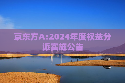 京东方A:2024年度权益分派实施公告