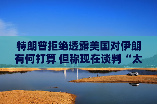 特朗普拒绝透露美国对伊朗有何打算 但称现在谈判“太晚了”  第1张