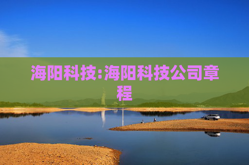 海阳科技:海阳科技公司章程