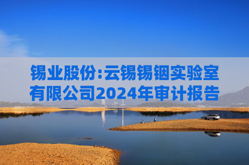 锡业股份:云锡锡铟实验室有限公司2024年审计报告