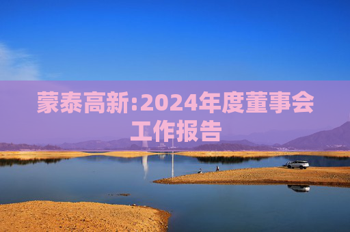 蒙泰高新:2024年度董事会工作报告
