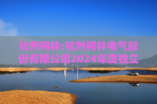 杭州柯林:杭州柯林电气股份有限公司2024年度独立董事述职报告(毛卫民)