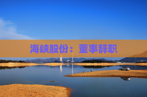 海峡股份：董事辞职  第1张