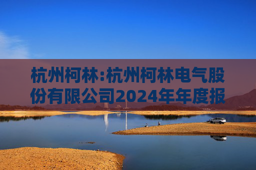 杭州柯林:杭州柯林电气股份有限公司2024年年度报告  第1张