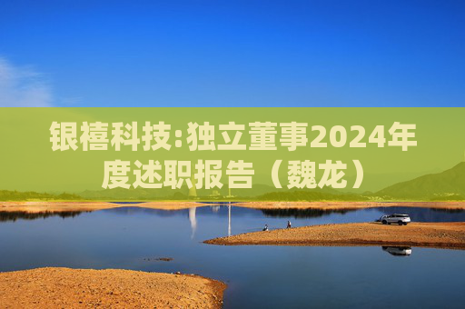 银禧科技:独立董事2024年度述职报告（魏龙）