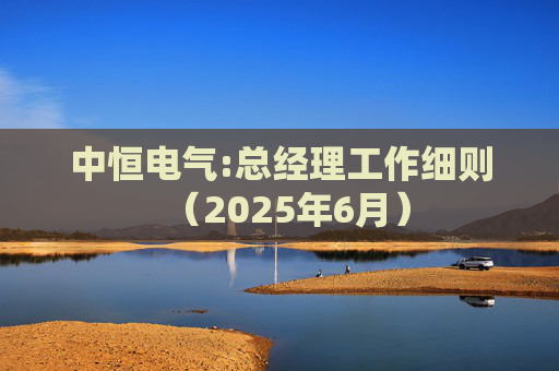 中恒电气:总经理工作细则（2025年6月）