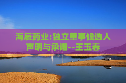 海辰药业:独立董事候选人声明与承诺--王玉春