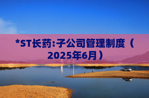 *ST长药:子公司管理制度（2025年6月）
