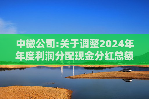 中微公司:关于调整2024年年度利润分配现金分红总额的公告