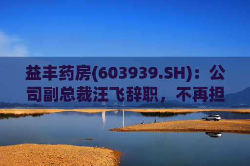 益丰药房(603939.SH)：公司副总裁汪飞辞职，不再担任公司其他职务