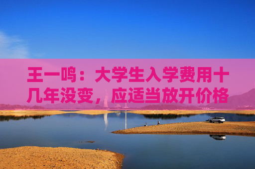 王一鸣：大学生入学费用十几年没变，应适当放开价格与工资联动