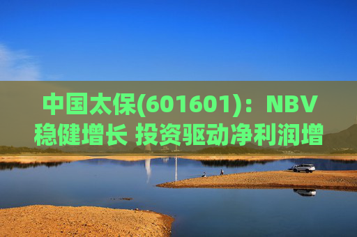 中国太保(601601)：NBV稳健增长 投资驱动净利润增速提升