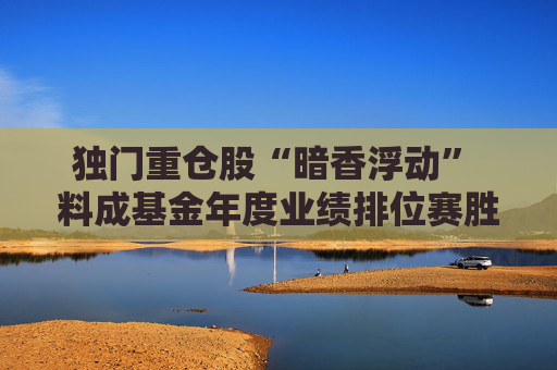 独门重仓股“暗香浮动” 料成基金年度业绩排位赛胜负手