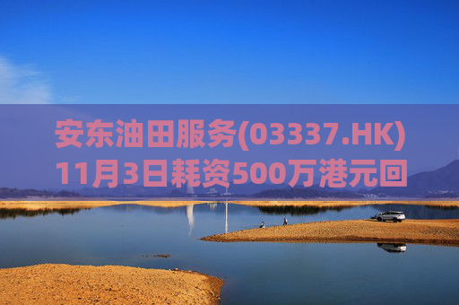 安东油田服务(03337.HK)11月3日耗资500万港元回购472万股