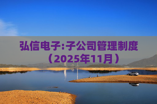 弘信电子:子公司管理制度(2025年11月)