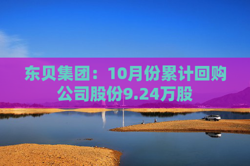 东贝集团：10月份累计回购公司股份9.24万股