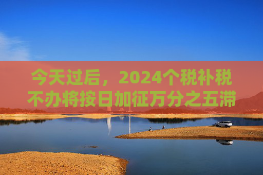 今天过后，2024个税补税不办将按日加征万分之五滞纳金  第1张