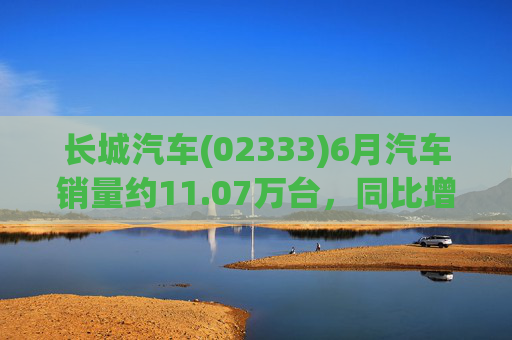 长城汽车(02333)6月汽车销量约11.07万台，同比增长12.86%