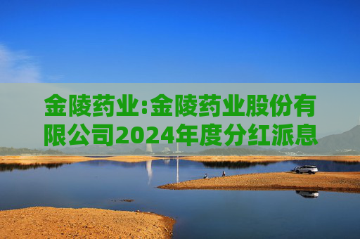 金陵药业:金陵药业股份有限公司2024年度分红派息实施公告