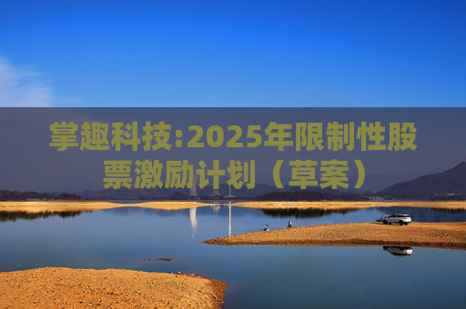 掌趣科技:2025年限制性股票激励计划（草案）  第1张