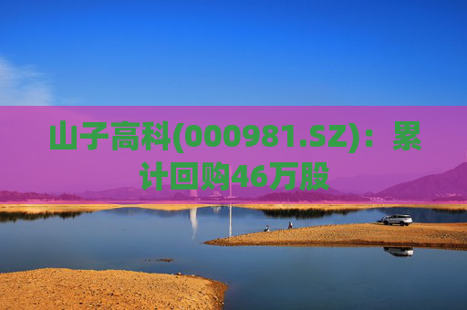 山子高科(000981.SZ)：累计回购46万股