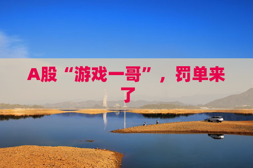 A股“游戏一哥”,罚单来了