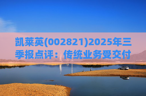 凯莱英(002821)2025年三季报点评：传统业务受交付节奏影响 新兴业务加速放量