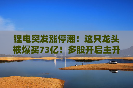 锂电突发涨停潮！这只龙头被爆买73亿！多股开启主升浪  第1张