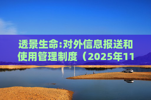 透景生命:对外信息报送和使用管理制度（2025年11月）