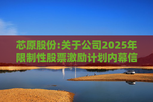 芯原股份:关于公司2025年限制性股票激励计划内幕信息知情人买卖公司股票情况的自查报告