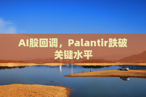 AI股回调，Palantir跌破关键水平  第1张
