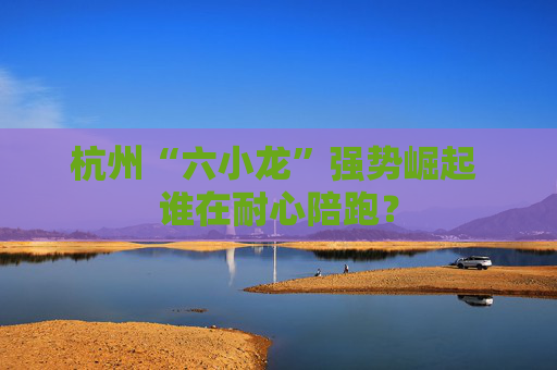 杭州“六小龙”强势崛起 谁在耐心陪跑？  第1张