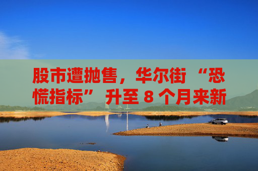 股市遭抛售,华尔街 “恐慌指标” 升至 8 个月来新高