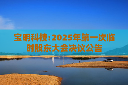 宝明科技:2025年第一次临时股东大会决议公告