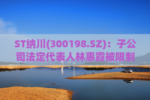 ST纳川(300198.SZ)：子公司法定代表人林惠霞被限制高消费
