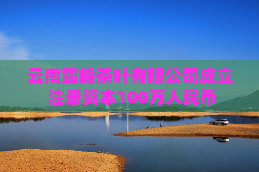 云南露峰茶叶有限公司成立 注册资本100万人民币  第1张