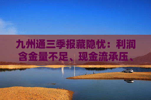 九州通三季报藏隐忧：利润含金量不足、现金流承压、内控漏洞频发