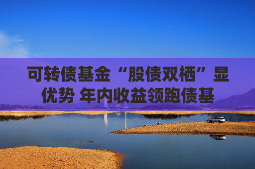 可转债基金“股债双栖”显优势 年内收益领跑债基