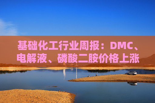 基础化工行业周报：DMC、电解液、磷酸二胺价格上涨 关注反内卷和铬盐