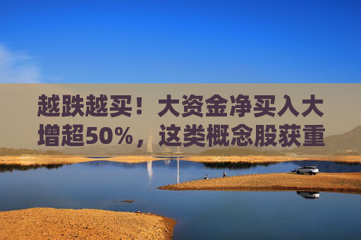 越跌越买！大资金净买入大增超50%，这类概念股获重点关注