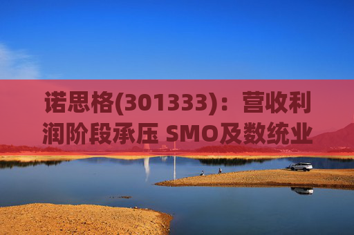 诺思格(301333)：营收利润阶段承压 SMO及数统业务保持稳健增长  第1张