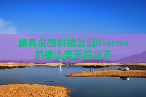 瑞典金融科技公司Klarna将推出美元稳定币