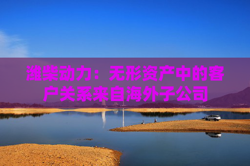 潍柴动力：无形资产中的客户关系来自海外子公司