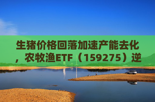 生猪价格回落加速产能去化，农牧渔ETF（159275）逆市拉升！荃银高科20CM涨停