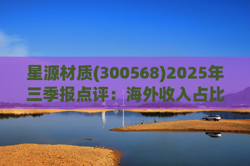 星源材质(300568)2025年三季报点评：海外收入占比提升 盈利水平改善