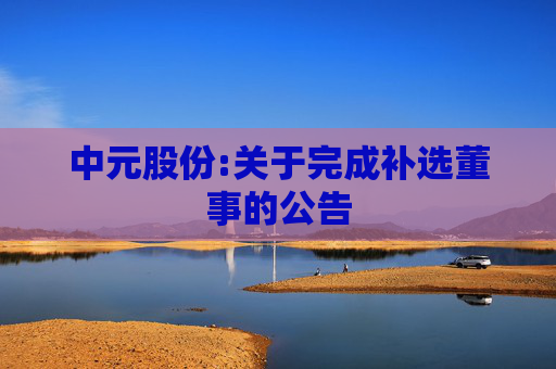 中元股份:关于完成补选董事的公告