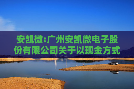 安凯微:广州安凯微电子股份有限公司关于以现金方式收购思澈科技（南京）有限公司85.79%股权的公告