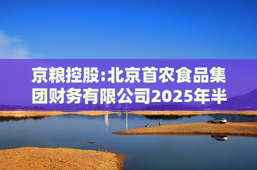 京粮控股:北京首农食品集团财务有限公司2025年半年度风险持续评估报告