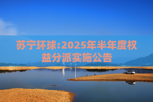 苏宁环球:2025年半年度权益分派实施公告